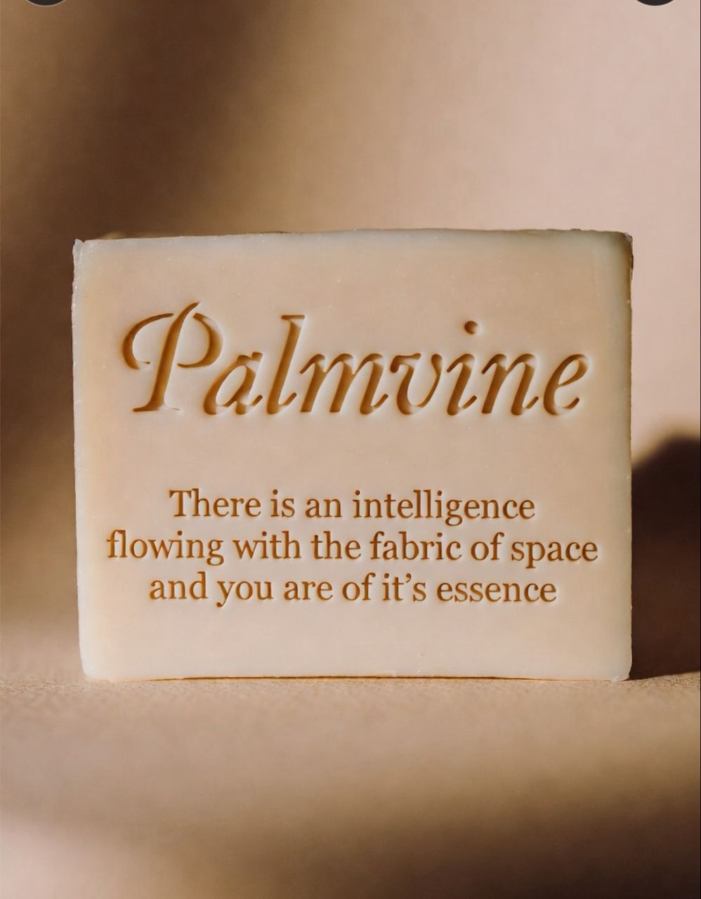 PalmVine Palm Kernel Oil